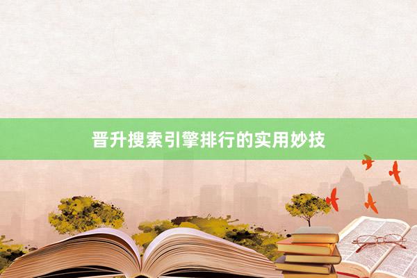 晋升搜索引擎排行的实用妙技