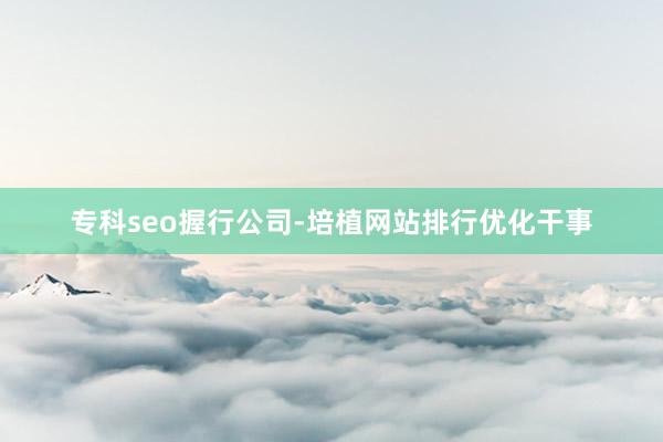 专科seo握行公司-培植网站排行优化干事
