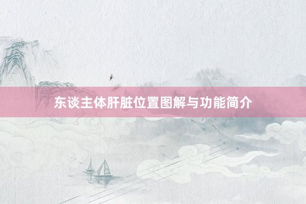 东谈主体肝脏位置图解与功能简介