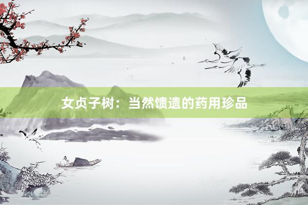 女贞子树：当然馈遗的药用珍品
