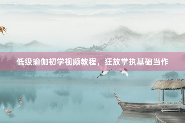 低级瑜伽初学视频教程，狂放掌执基础当作